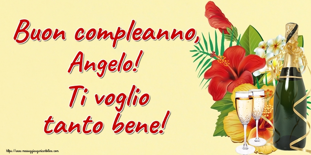 BUON COMPLEANNO ANGELO🍾🍾🍾😘 #confettata Re Leone🦁 Grazie per